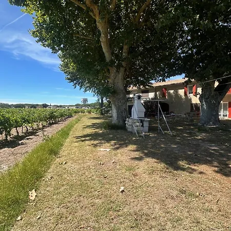 De La Cave Charme Provencal Avec Jardin A *