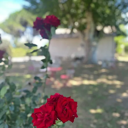 De La Cave Charme Provencal Avec Jardin A Apartmán Aigues-Mortes