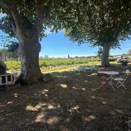 Apartmán De La Cave Charme Provencal Avec Jardin A Aigues-Mortes