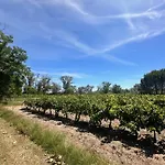 Appartamento De La Cave Charme Provençal Avec Jardin à
