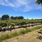 Appartamento De La Cave Charme Provençal Avec Jardin à Aigues-Mortes