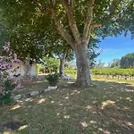 Appartamento De La Cave Charme Provençal Avec Jardin à Aigues-Mortes