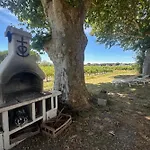 De La Cave Charme Provençal Avec Jardin à Appartamento