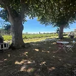 Appartamento De La Cave Charme Provençal Avec Jardin à Aigues-Mortes