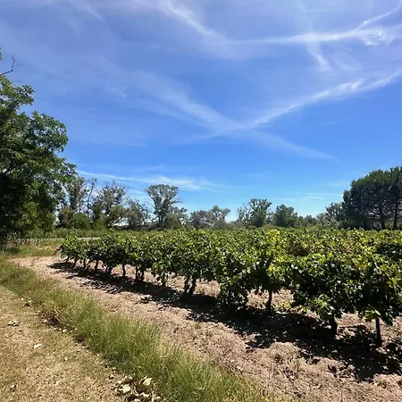 Appartamento De La Cave Charme Provençal Avec Jardin à