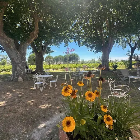 De La Cave Charme Provençal Avec Jardin à Aigues-Mortes