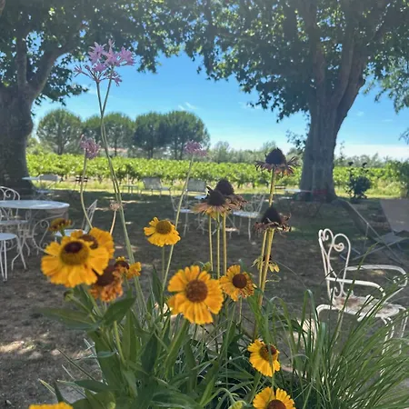 De La Cave Charme Provençal Avec Jardin à Appartamento