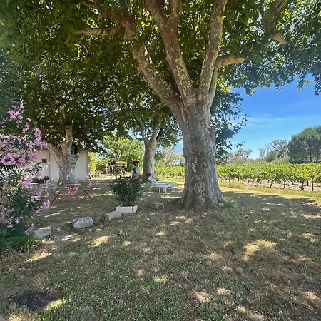 Appartamento De La Cave Charme Provençal Avec Jardin à Aigues-Mortes