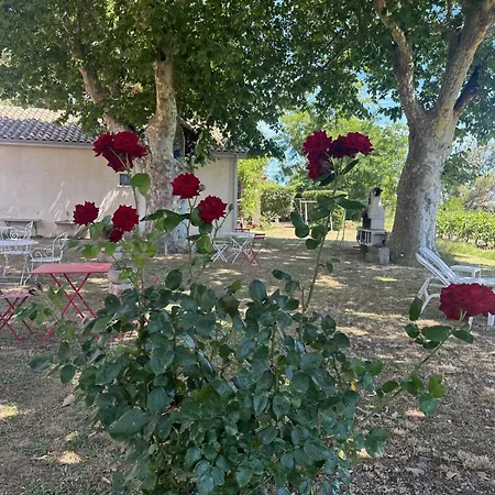 De La Cave Charme Provençal Avec Jardin à * Aigues-Mortes