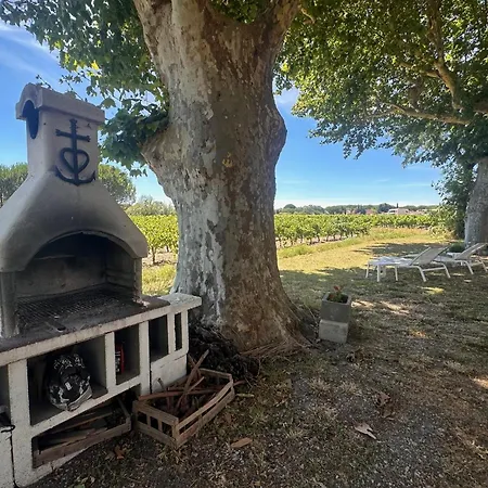De La Cave Charme Provençal Avec Jardin à Appartamento
