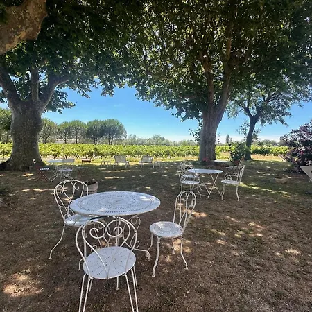 De La Cave Charme Provençal Avec Jardin à Aigues-Mortes