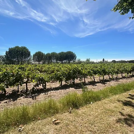 Appartamento De La Cave Charme Provençal Avec Jardin à Aigues-Mortes