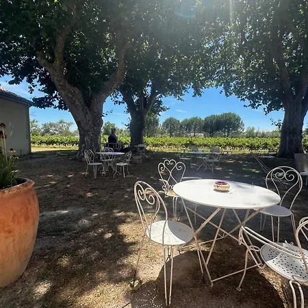 Appartamento De La Cave Charme Provençal Avec Jardin à